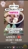 「「冷やしぜんざいソフト」白玉たっぷり　１００円引きセール開催中（4/29～5/6）」