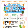おとなの食育おりがみクラブの参加者募集します