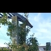井堀バラ園の色とりどりのバラが見頃です🌹