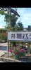 丹精込めて育てた、艶やかなバラ.「井堀バラ園の色とりどりのバラが見頃です🌹」