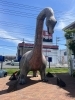 記念撮影！楽しい思い出作ろう！「🦕恐竜アドベンチャーパーク🦕」