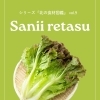 【飲食店・ホテル向け】業務用 野菜仕入れ｜江別産サニーレタス（産地直送・朝採れ・高鮮度）