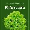 【プロ向け食材】飲食店 野菜仕入れ｜江別産リーフレタス（柔らか食感・北海道直送・業務用対応）