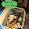 静岡産たけのこが山盛り到着！煮物やごはんで春の味わいをどうぞ