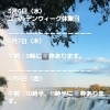 🏝️ヤシの木接骨院の直近の空き枠🏝️