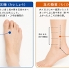 【宮司の健康歳時記４月・５月号】解毒でスッキリ！