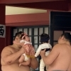 石鎚神社で「第12回 お宮de文化祭奉納 いしづち泣き相撲」開催中！