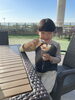 子供も喜ぶ。彩り豊かなフルーツサンド「息子との休日でリフレッシュしました」
