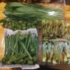 山菜　タラの芽、行者ニンニク、こごみ