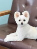 まるでぬいぐるみのような一時「MAHANA Dog Salonで安心感を」