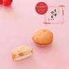 期間限定　いちごぷっちい 【伊那市のお土産、ケーキ、スイーツといえばちいずくっきい】