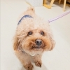 今日のお友達