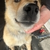 先日のモンモンイ🐶