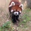 【 動物園のすすめ 】