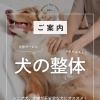 ＼犬の整体 もみもみわんこ🐾のご紹介／