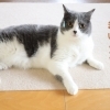 自分でも気が付かないコリ
