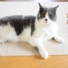 自分でも気が付かないコリ