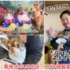 明日9時より通常営業開始❣️