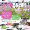 🌸【犬山楽田】5/17(日)開催！一面のレンゲ畑で思いっきり遊ぼう！「ブルーベリーポケット」も初参画します✨