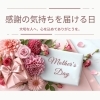 「母の日」は、誰かにプレゼントを贈るきっかけの日でもあります。プレゼント選びは自信を持ってお届けするUQQAのお洋服はいかがでしょうか？
