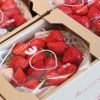【直売のいちご🍓お求めやすくなりました】