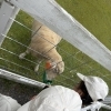 ブルーメの丘でほっこり🐑 春のおでかけ後はふわーるでケア✨