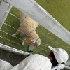 ブルーメの丘でほっこり🐑 春のおでかけ後はふわーるでケア✨