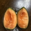 平成7年創業。あなたのお悩みを必ず解決致します。無理な営業は一切致しません。ご連絡お待ちしています。
