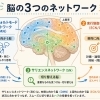 脳の大規模ネットワーク
