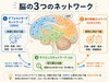 「脳の大規模ネットワーク」