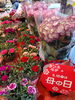 母の日ギフトに華やかなお花をどうぞ！「5月10日(日)は母の日 フラワーギフトはいかがですか」