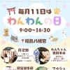 5月11日はわんわんの日🐕大切な家族の健やかな毎日を願うわんちゃん月次祭開催✨
