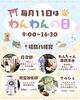 5月11日はわんわんの日🐕「5月11日はわんわんの日🐕大切な家族の健やかな毎日を願うわんちゃん月次祭開催✨」