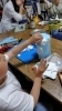 お母さんに形を作ってもらったね。「虫がとまる木を作る」