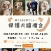 🐶✨保護犬譲渡会開催✨🐶