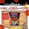 【長崎限定商品】味カレー辛口🔥／大和製菓