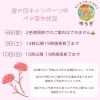 母の日キャンペーン💐