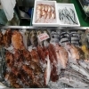 📣本日のお魚情報🐟