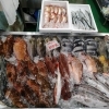 📣本日のお魚情報🐟