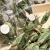 南魚沼市　accos カイロと珈琲のお店 accos