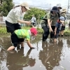 田植えをしました！