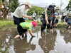 「田植えをしました！」