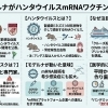 モデルナがハンタウイルスmRNAワクチン開発を公表　何がポイント？