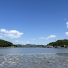 【5月9日】快晴の水門湾でアオサギに出会う。新登場の「ピリ辛味噌炒め」と手作り弁当🍱☀️