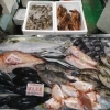 📣本日のお魚情報🐟