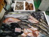 令和8年5月9日 店内「📣本日のお魚情報🐟」