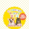 【完全予約制】SAYAMAKOわんにゃん譲渡会2026.6.6㈯開催 埼玉/所沢・入間・狭山・川越・飯能 　東京/東大和・武蔵村山・東村山・東久留米・小平・立川