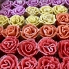 明日は「母の日」です、和菓子を贈りませんか…