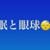 睡眠と眼球❷