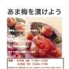 6月開催「あま梅を漬けよう」梅干し作り教室